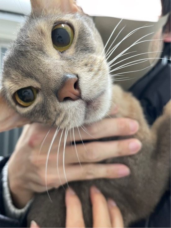 FullSizeRender