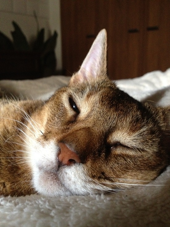 617DC33B-67E6-4126-90BE-C121902009BC