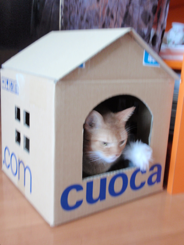 Joli!joli!のブログ-おうち１