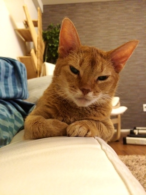 {01B558BF-6D8C-4F9C-9C2C-AE34ED8F18BE:01}