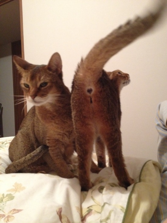 BE4FCBF4-CFB2-41E5-B975-60661CDECA83