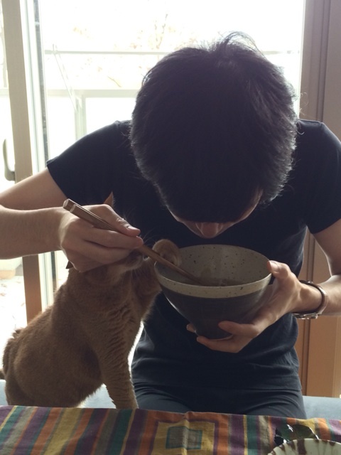 {AABA37E4-7EDD-4187-8262-39956EE93085:01}