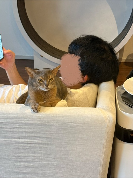 FullSizeRender