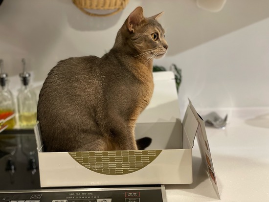 FullSizeRender