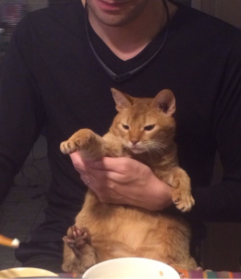 {C175432A-4536-4208-A5D4-BE45D5C22FD3:01}