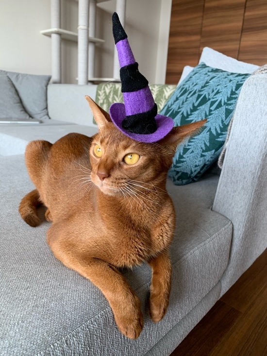 AFFAEA23-1030-4360-A514-9ECCAF957A10