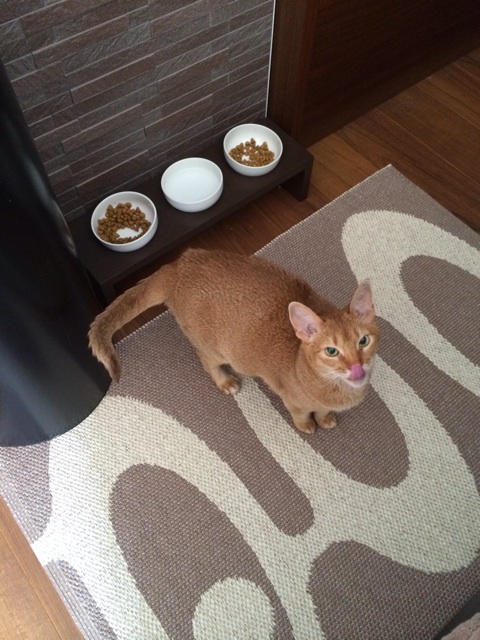 {4FA5AB43-08A2-4AE6-A99C-5FAC722BC3A8:01}