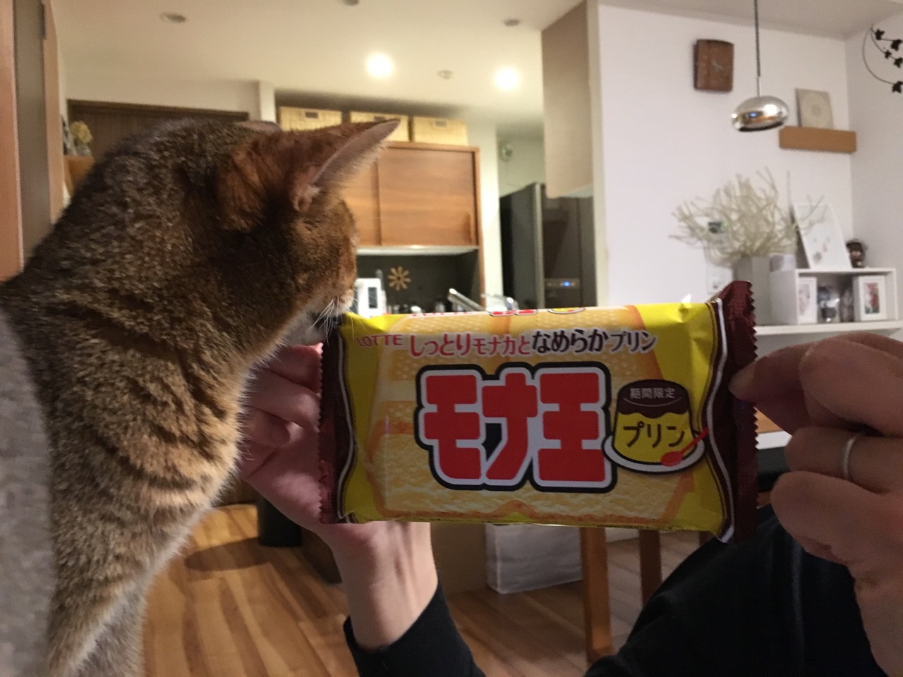 プリン味のモナ王 おうちごはんとおかしとねこ Powered By ライブドアブログ プリン味のモナ王 おうちごはんとおかしとねこ Powered By ライブドアブログ