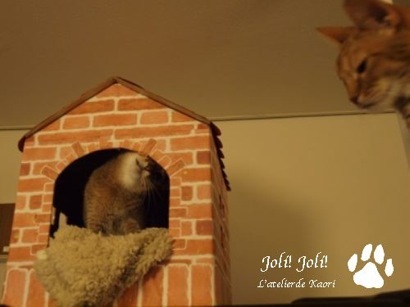 joli!joli!のおうちごはんとおかしとねこ♪