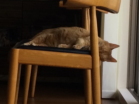 {2BD4FB95-50DB-4050-98A9-19D4ED355332:01}