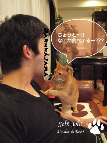joli!joli!のおうちごはんとおかしとねこ♪
