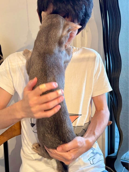 FullSizeRender