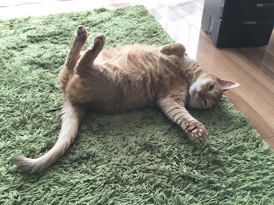 D3607879-418F-43A0-8D0F-281469B6FDF5