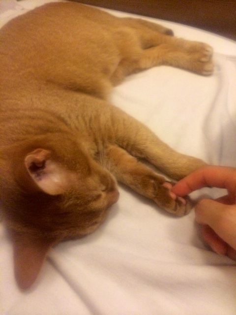 {9E4A7F47-C310-410E-8032-DF0DC50F1DF7:01}