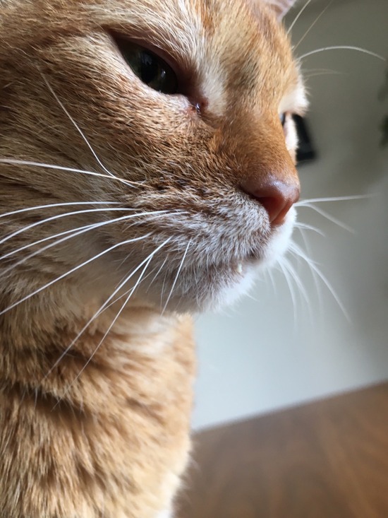 141F9A52-197A-4590-BBB1-60DFBC7ADE0D