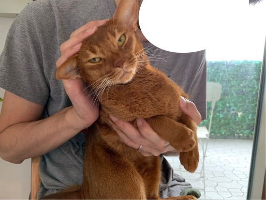 FullSizeRender