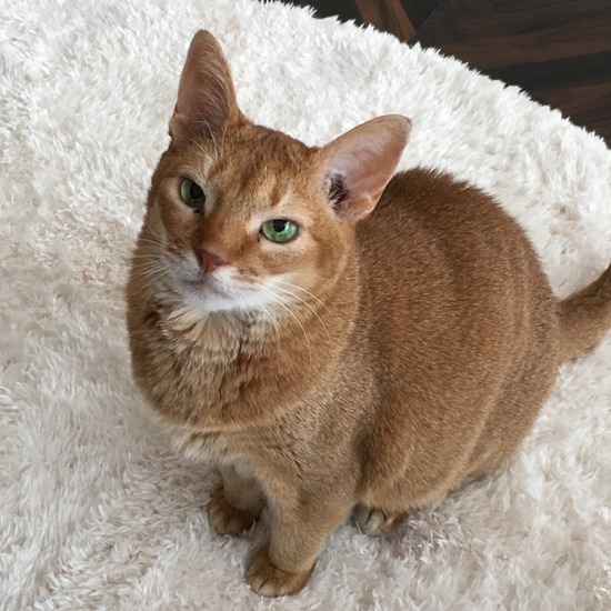 7DDE8DD6-2812-414E-8FC7-E2AE95C267BF