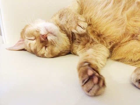 {6D1B5E9F-3099-4A57-96C6-54EE853CE6C8:01}