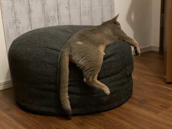FullSizeRender