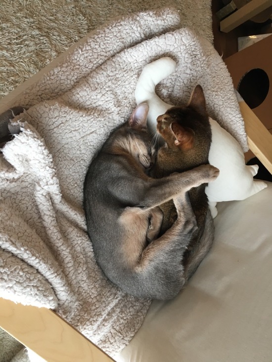 DD8D004F-147B-4290-97F8-C5ACA49CF71D