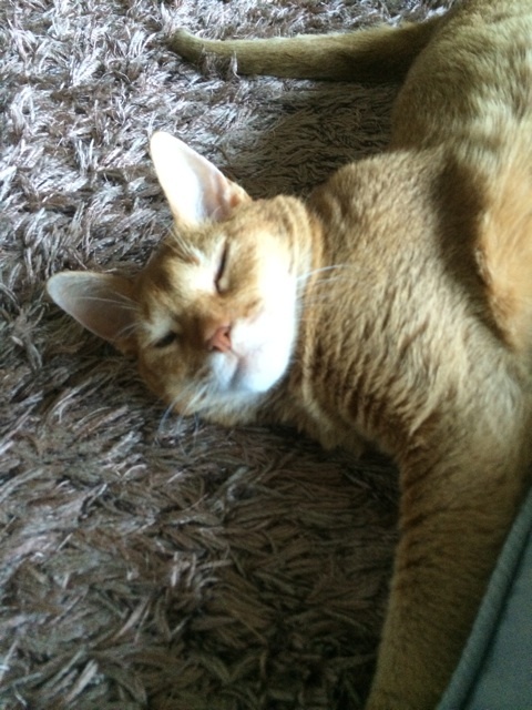 {5EBFDC4E-59F1-40C3-82DB-28173EB2B973:01}