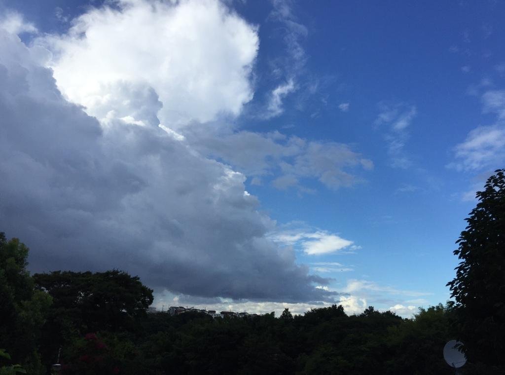 霧雨散歩 : 海と犬と湖と
