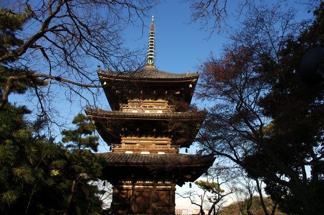 横浜三渓園 三重塔 画像