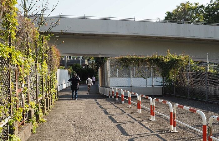 モハメイドペーパーの 何が出てくるか２ 無名という名前