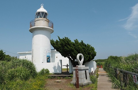 P5306519