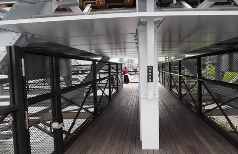 P7164295