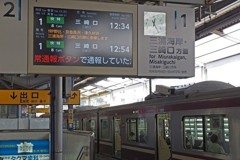 P5306487