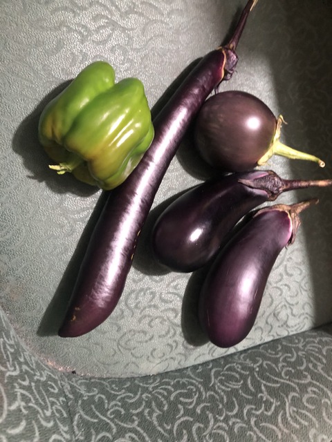 ナスが久々に取れました