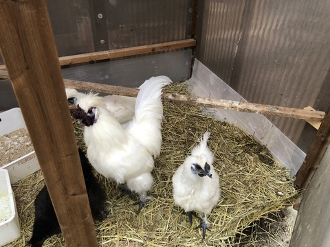 みんな元気！！！