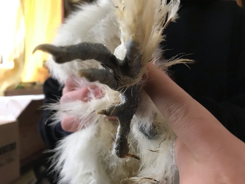 EB067610-7DED-42C9-A187-4CA82EB98ABB