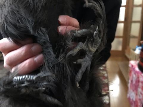 3D56A101-1905-43CA-9159-61099E89D657