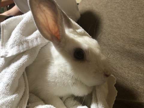 我が家のお姫様！