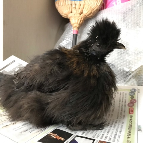 D06FD2A6-6E73-4AB5-8364-35CBCEC2F372