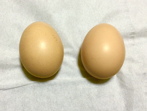 おぉおおおおおおー‼︎