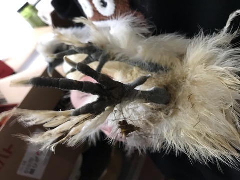 A93FB36D-7EA5-4519-B10D-0BF5CED93AC7