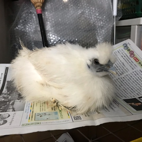 7C592FB5-BB7F-4079-91F0-73C3210F58EF