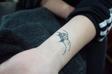 DSC08309