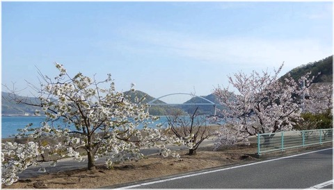sakuraE1