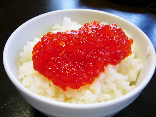筋子