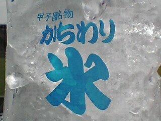 甲子園のカチワリ氷