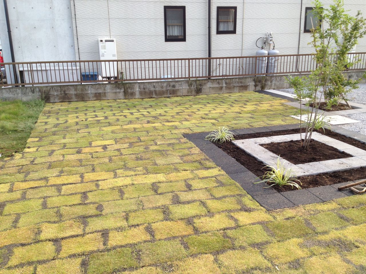 芝生2 庭ログ エクステリアな毎日 芝生2 庭ログ エクステリアな毎日