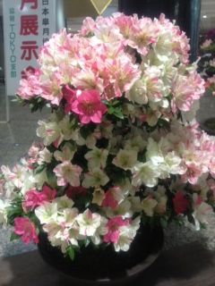 0519 Sakanaquarium13 Sakanaction 続 アタシハアタシブログ 0519 Sakanaquarium13 Sakanaction 続 アタシハアタシブログ