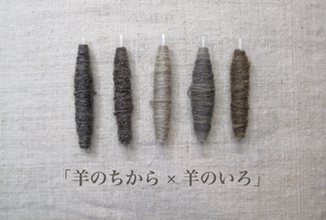 �����꡼�󥷥�å�ɽ