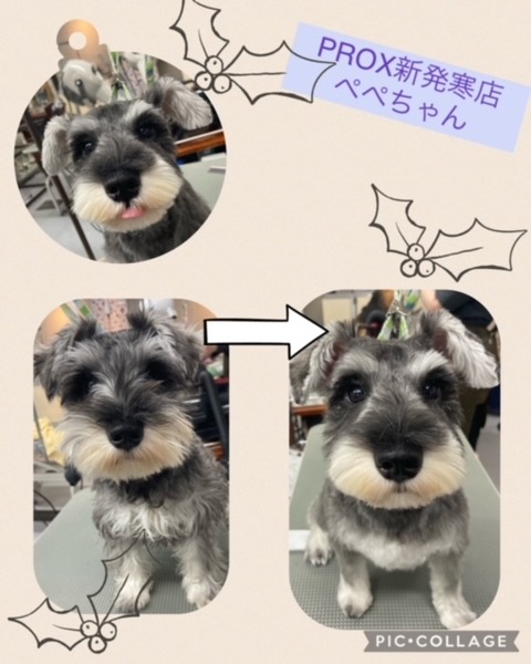 image0