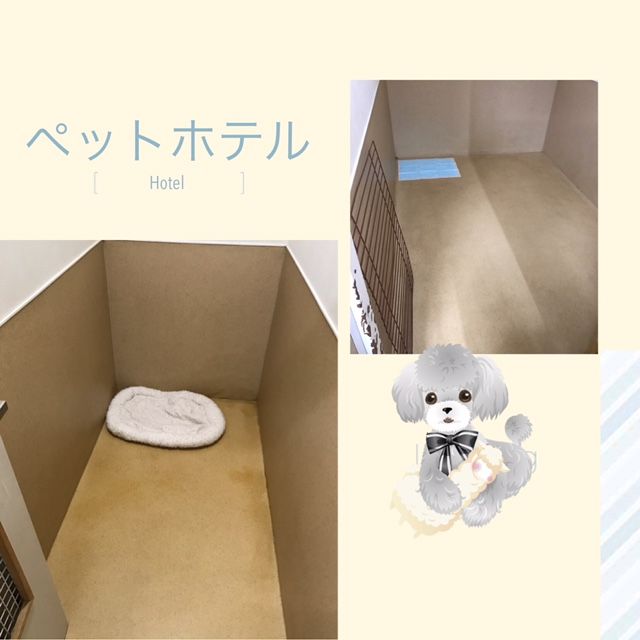 Petworld スタッフブログ 屯田店 ペットホテルからのご案内