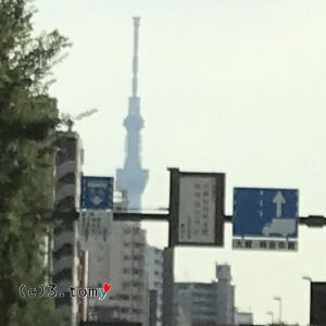 (c)3.tomy